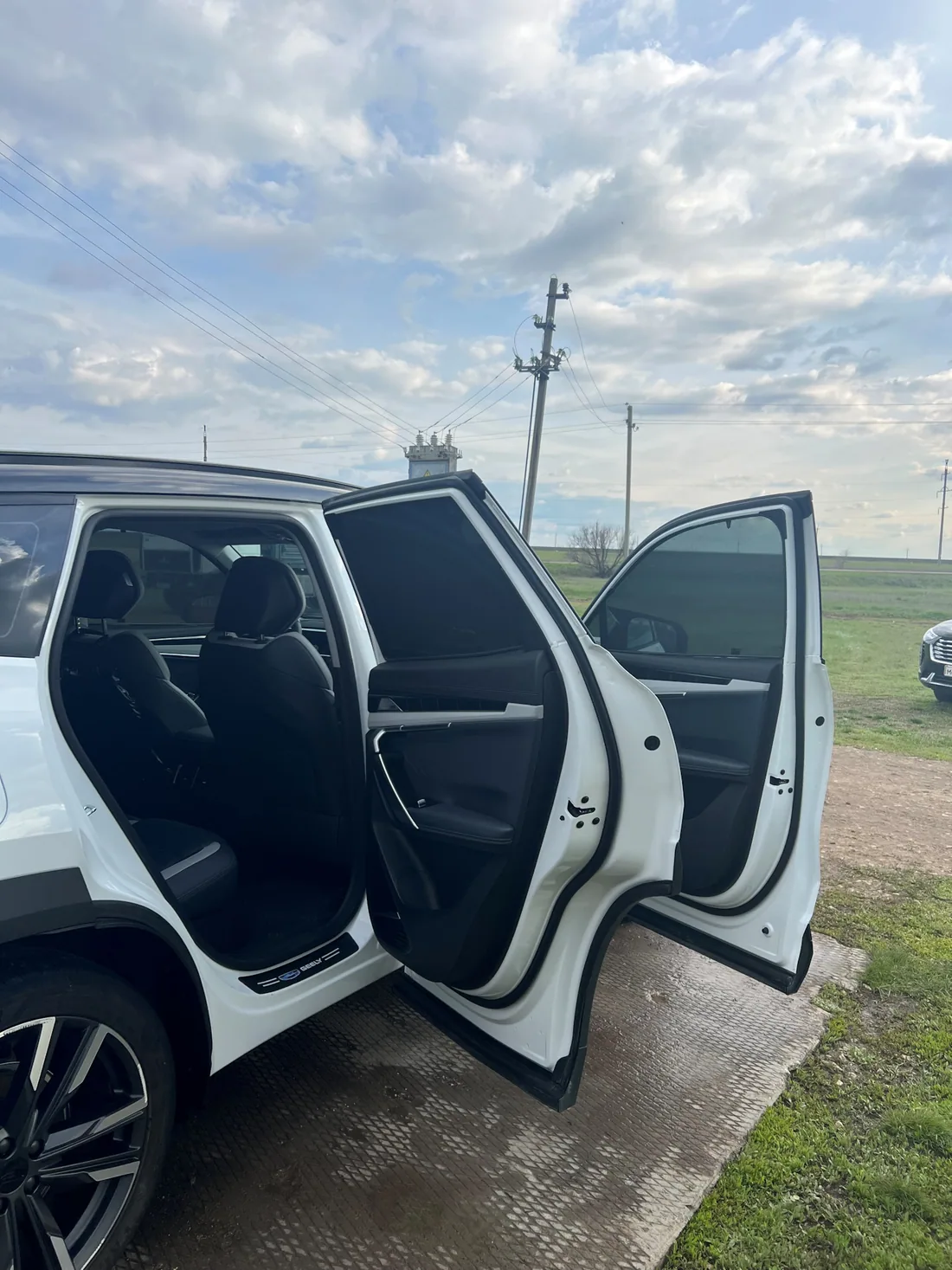 Автомобиль владельца с автошторками на открытых передней и задней дверях